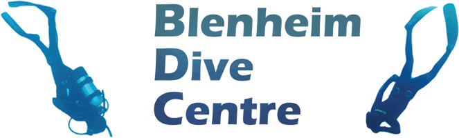 Blenheim Dive Centre Marlborough NZ