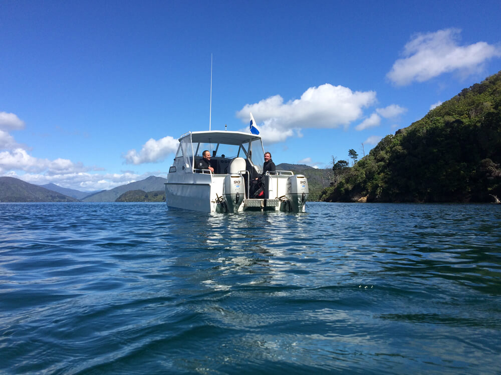 Aluminium Boat In Marlborough Sounds With Blenheim Dive Centre NZ