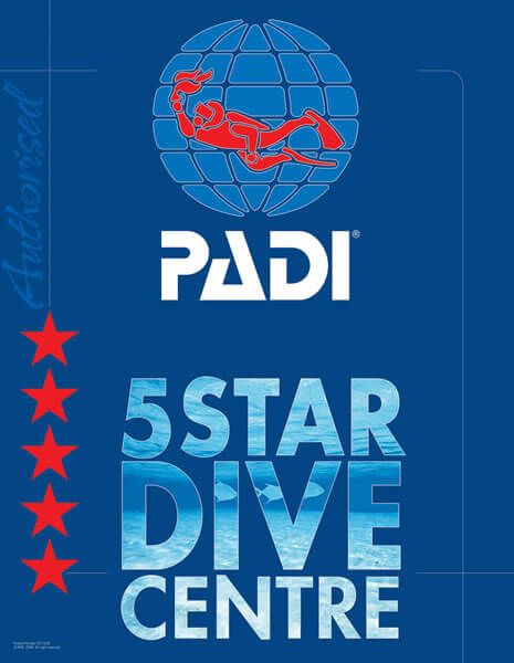 BDC Is A PADI 5 Star Dive Centre In Marlborough NZ