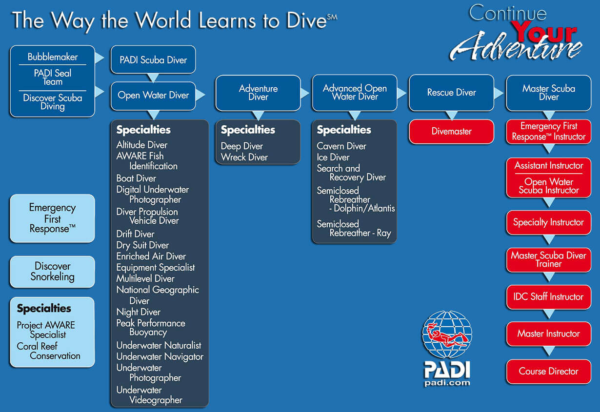 Flowchart Of PADI Scuba Diving Courses